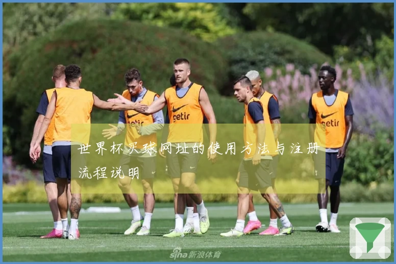 世界杯买球网址的使用方法与注册流程说明