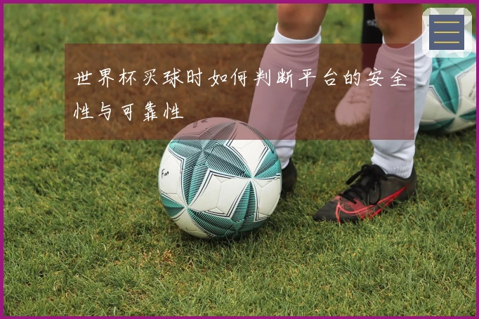 世界杯买球时如何判断平台的安全性与可靠性