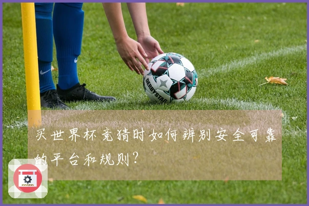 买世界杯竞猜时如何辨别安全可靠的平台和规则？