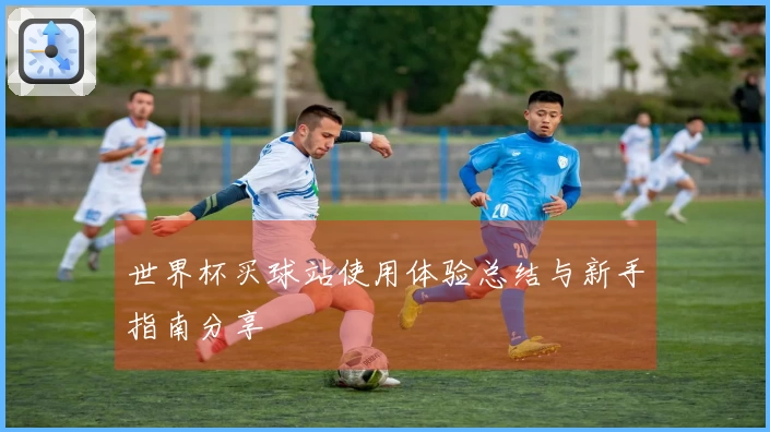 世界杯买球站使用体验总结与新手指南分享