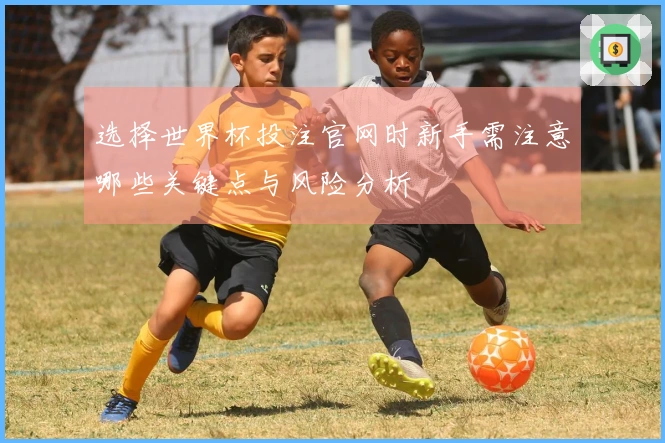 选择世界杯投注官网时新手需注意哪些关键点与风险分析
