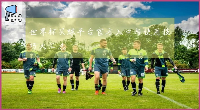 世界杯买球平台官方入口与使用技巧大汇总