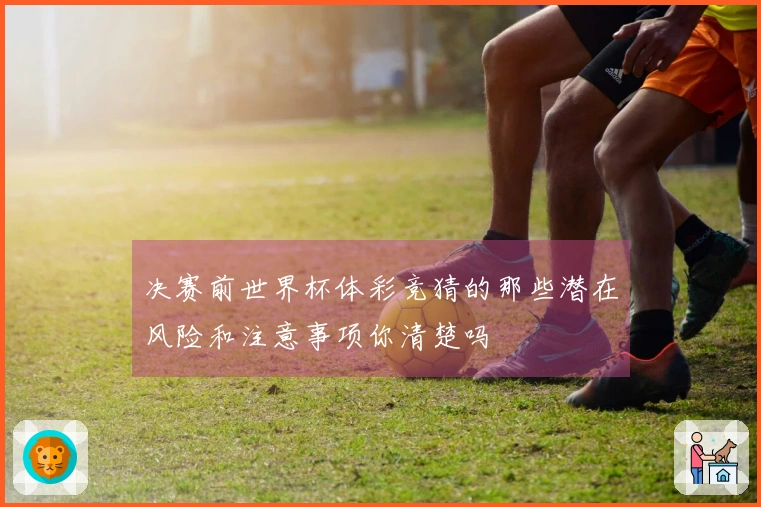 决赛前世界杯体彩竞猜的那些潜在风险和注意事项你清楚吗