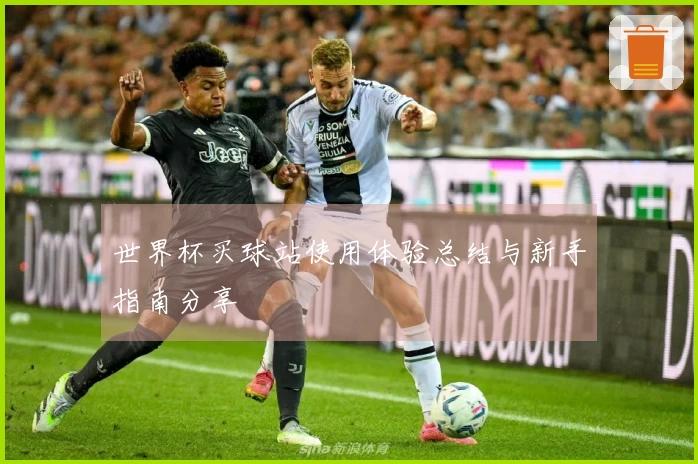 世界杯买球站使用体验总结与新手指南分享
