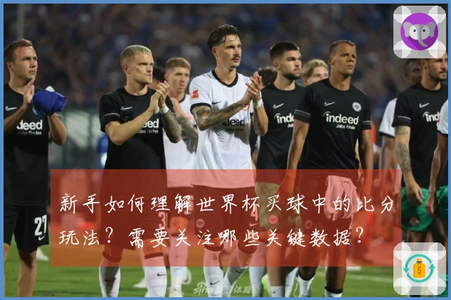 新手如何理解世界杯买球中的比分玩法？需要关注哪些关键数据？
