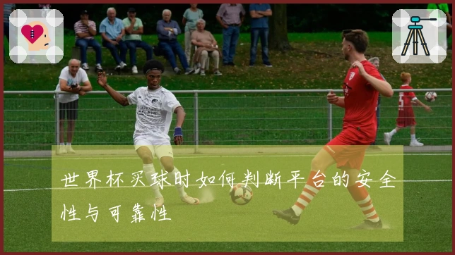 世界杯买球时如何判断平台的安全性与可靠性
