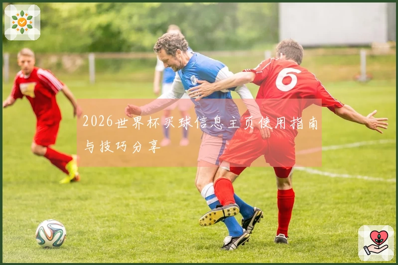 2026世界杯买球信息主页使用指南与技巧分享