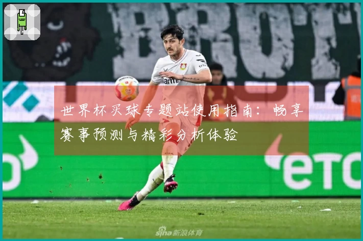 世界杯买球专题站使用指南：畅享赛事预测与精彩分析体验