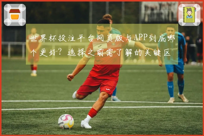 世界杯投注平台网页版与APP到底哪个更好？选择之前需了解的关键区别