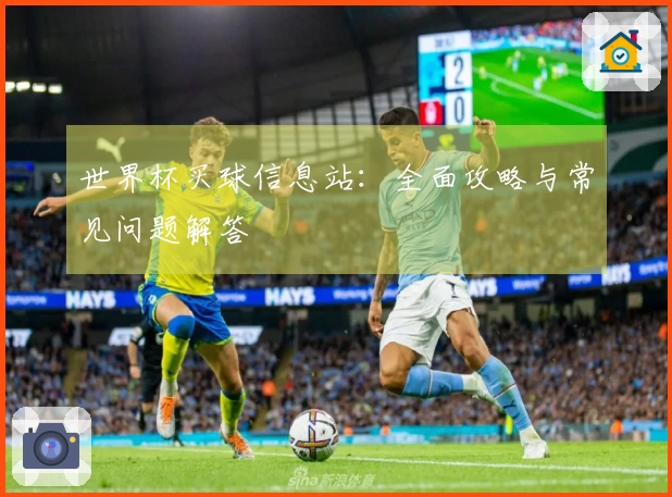世界杯买球信息站：全面攻略与常见问题解答