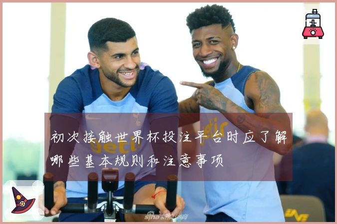初次接触世界杯投注平台时应了解哪些基本规则和注意事项