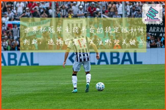 世界杯冠军竞猜平台的稳定性如何判断，选择前需要关注哪些关键点