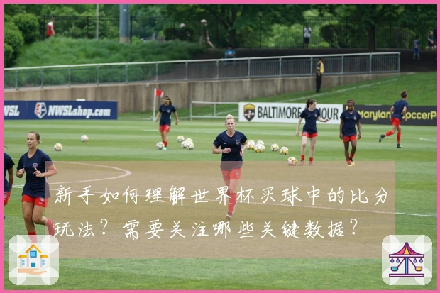 新手如何理解世界杯买球中的比分玩法？需要关注哪些关键数据？