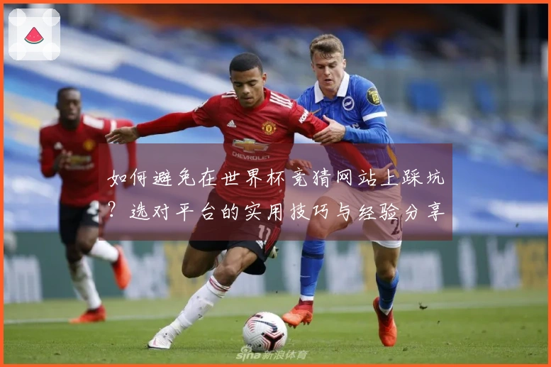 如何避免在世界杯竞猜网站上踩坑？选对平台的实用技巧与经验分享