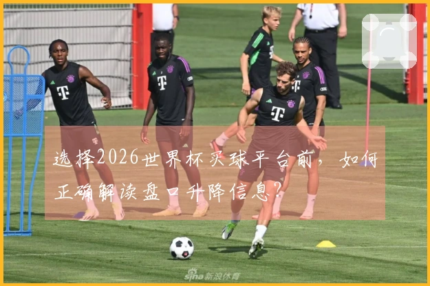 选择2026世界杯买球平台前，如何正确解读盘口升降信息？