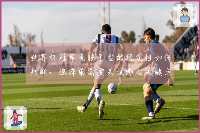 世界杯冠军竞猜平台的稳定性如何判断,选择前需要关注哪些关键点