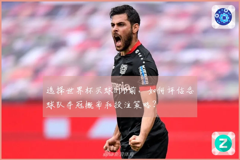 选择世界杯买球app前，如何评估各球队夺冠概率和投注策略？