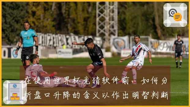 在使用世界杯竞猜软件前，如何分析盘口升降的含义以作出明智判断？