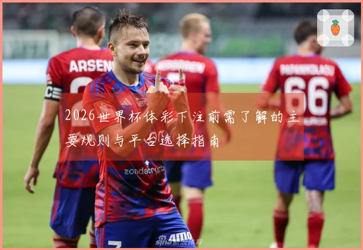 2026世界杯体彩下注前需了解的主要规则与平台选择指南