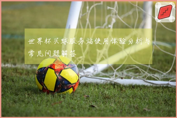 世界杯买球服务站使用体验分析与常见问题解答