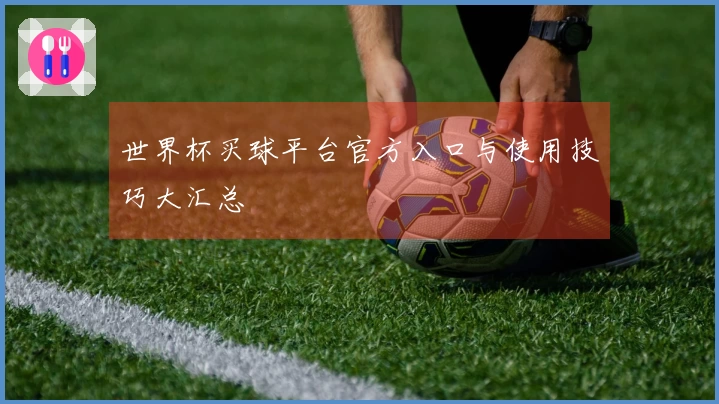 世界杯买球平台官方入口与使用技巧大汇总